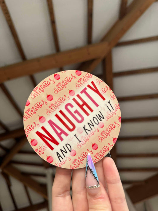 Naughty & I Know It Coaster