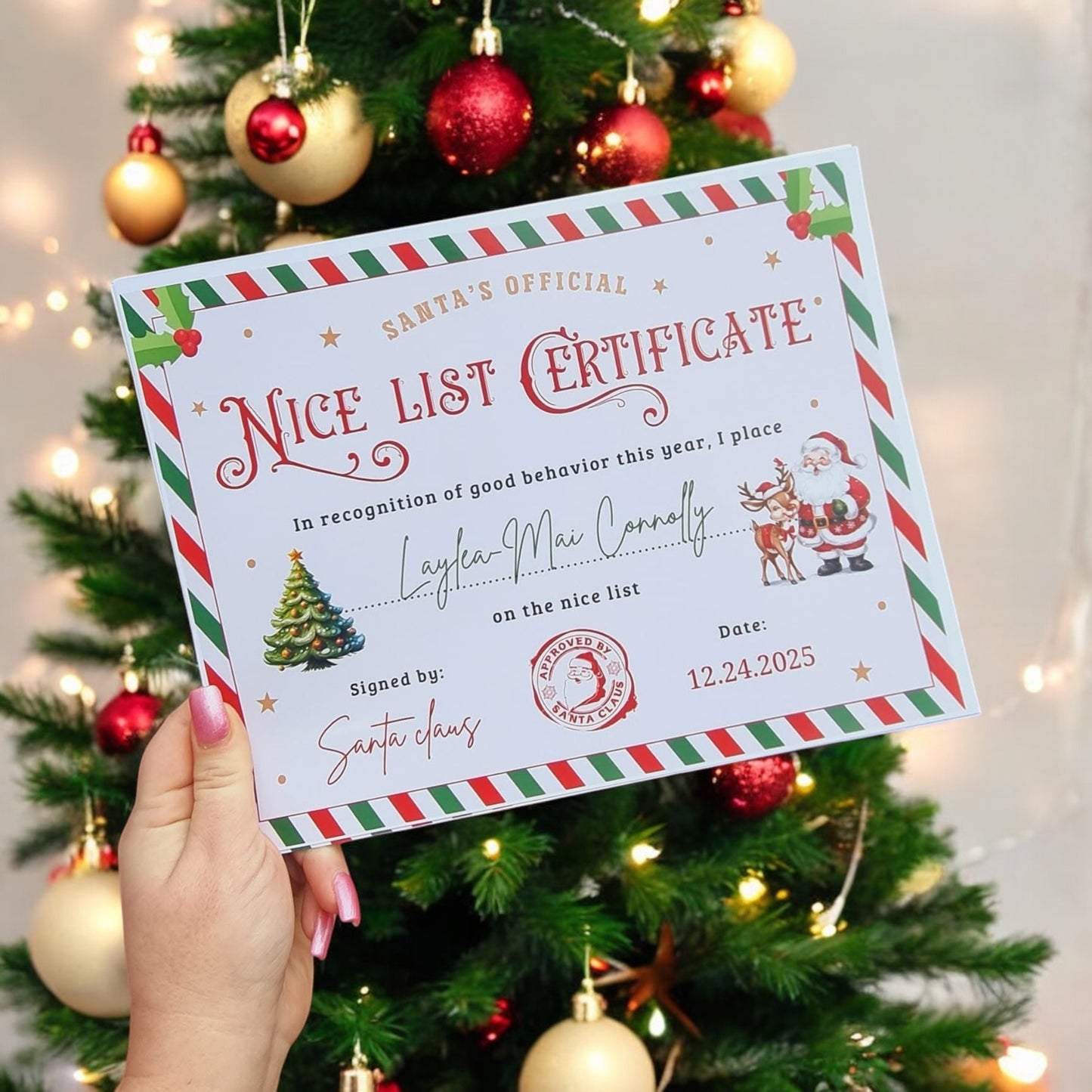 Nice list certificate DIGITAL